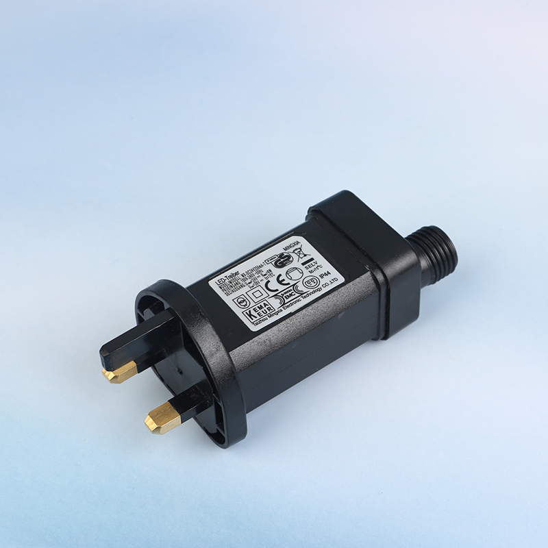 AC 220V To 24V/31V DC 6W 8 Fun - Candle Making Supplies Uk recensione e prezzo